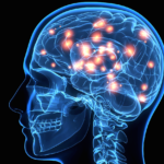 Major Scientific Success: Brain Signals Translated to Speech Major Scientific Success: Brain Signals Translated to Speech