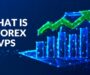 What is Forex VPS – How to Speed Up the Profit?